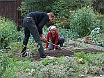moestuin