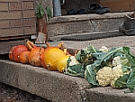 herfst