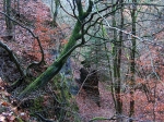 Schirnding
