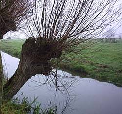 de IJssel