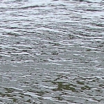 Water in de IJssel