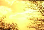 lucht