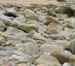 aarde
