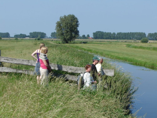 natuurwezens