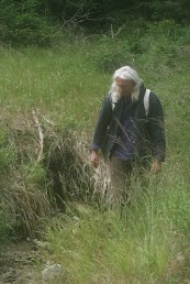 Dick van den Dool