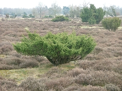 drenthe eigentijds