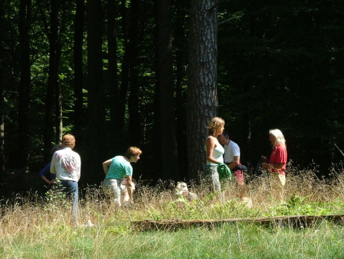 Leergang Gaialogie - Verbindingen