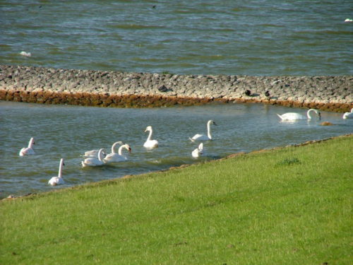 gaialogische ervaringstocht Excursie Friesland